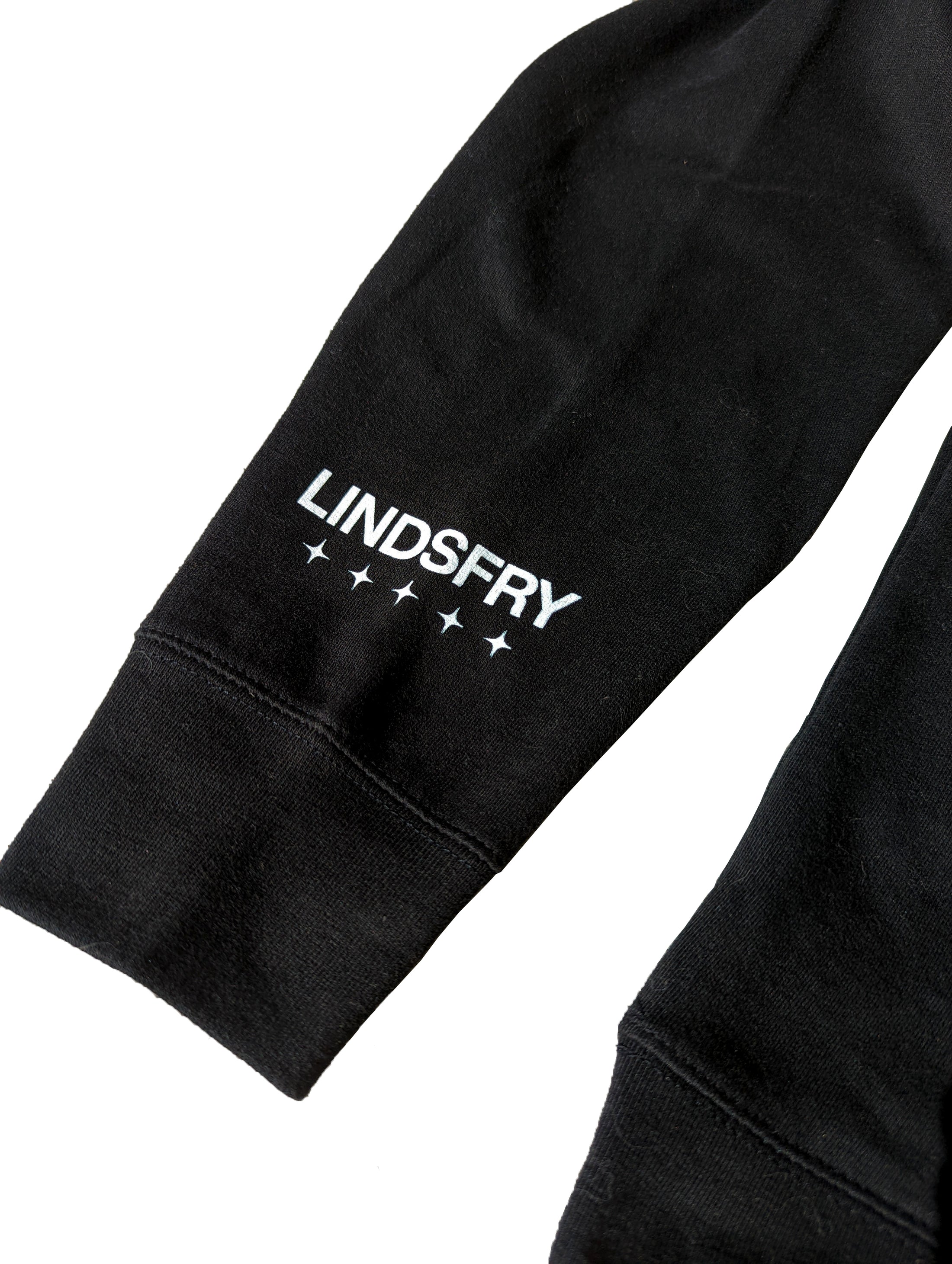 Team Fry Hoodie – lindsfry